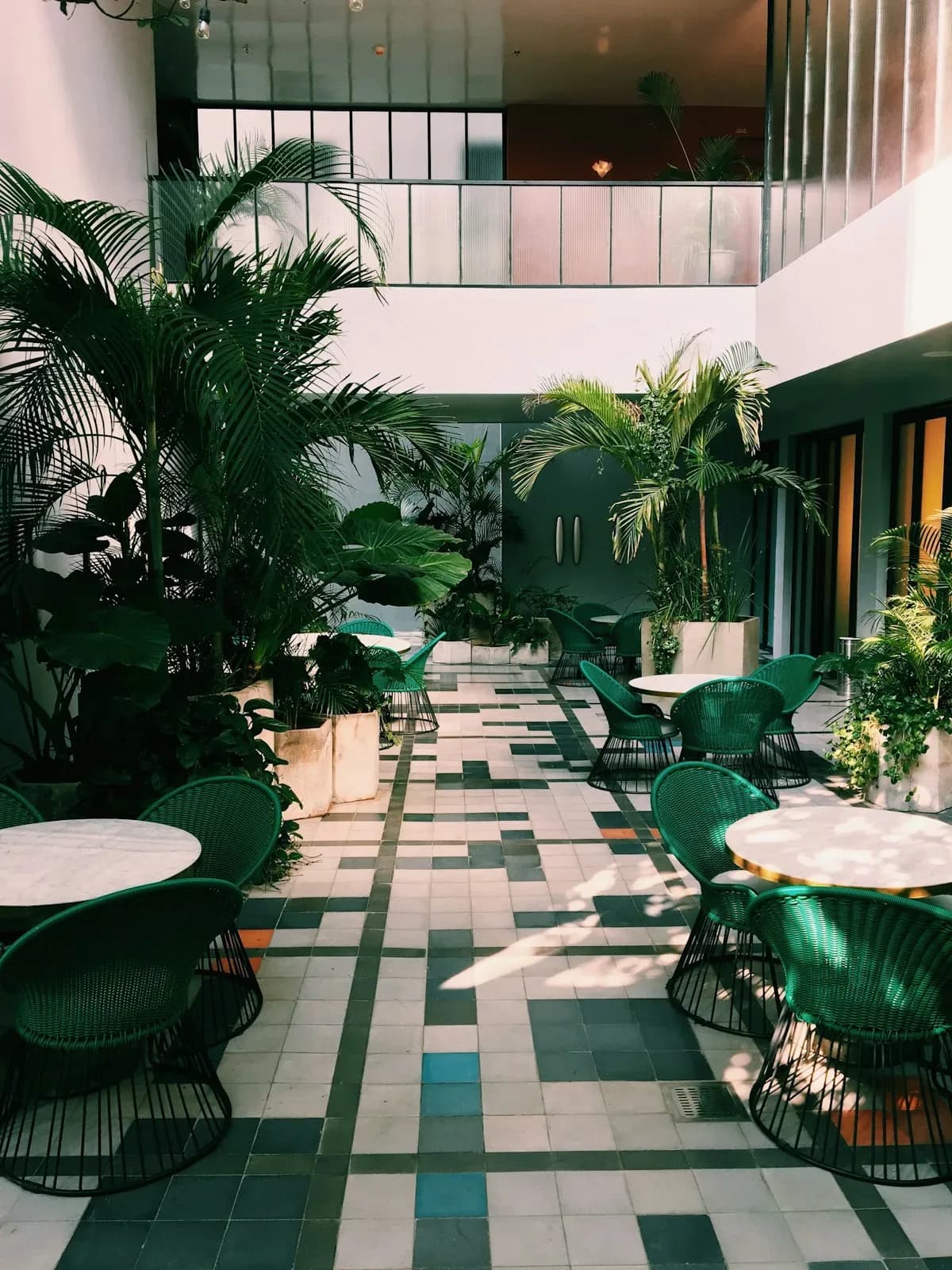 A shaded courtyard atrium filled with palms and greenery