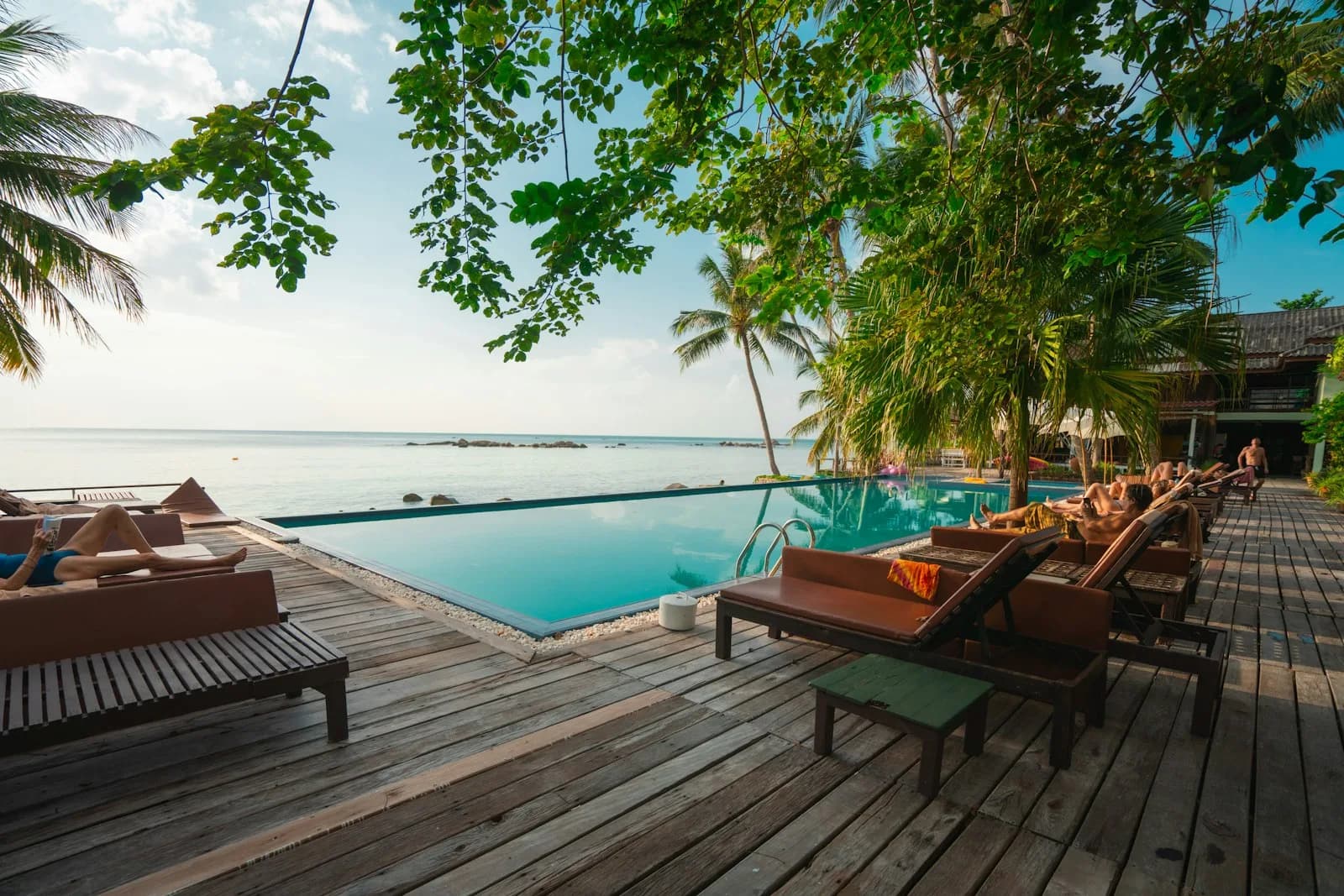 The infinity pool and teak deck framed by palms